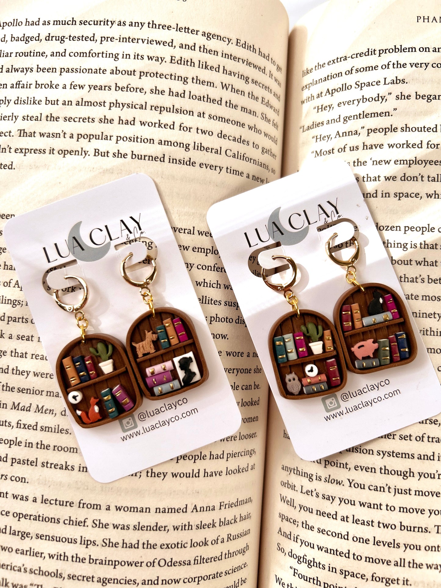 Tiny Treasures Bookshelf  Earrings